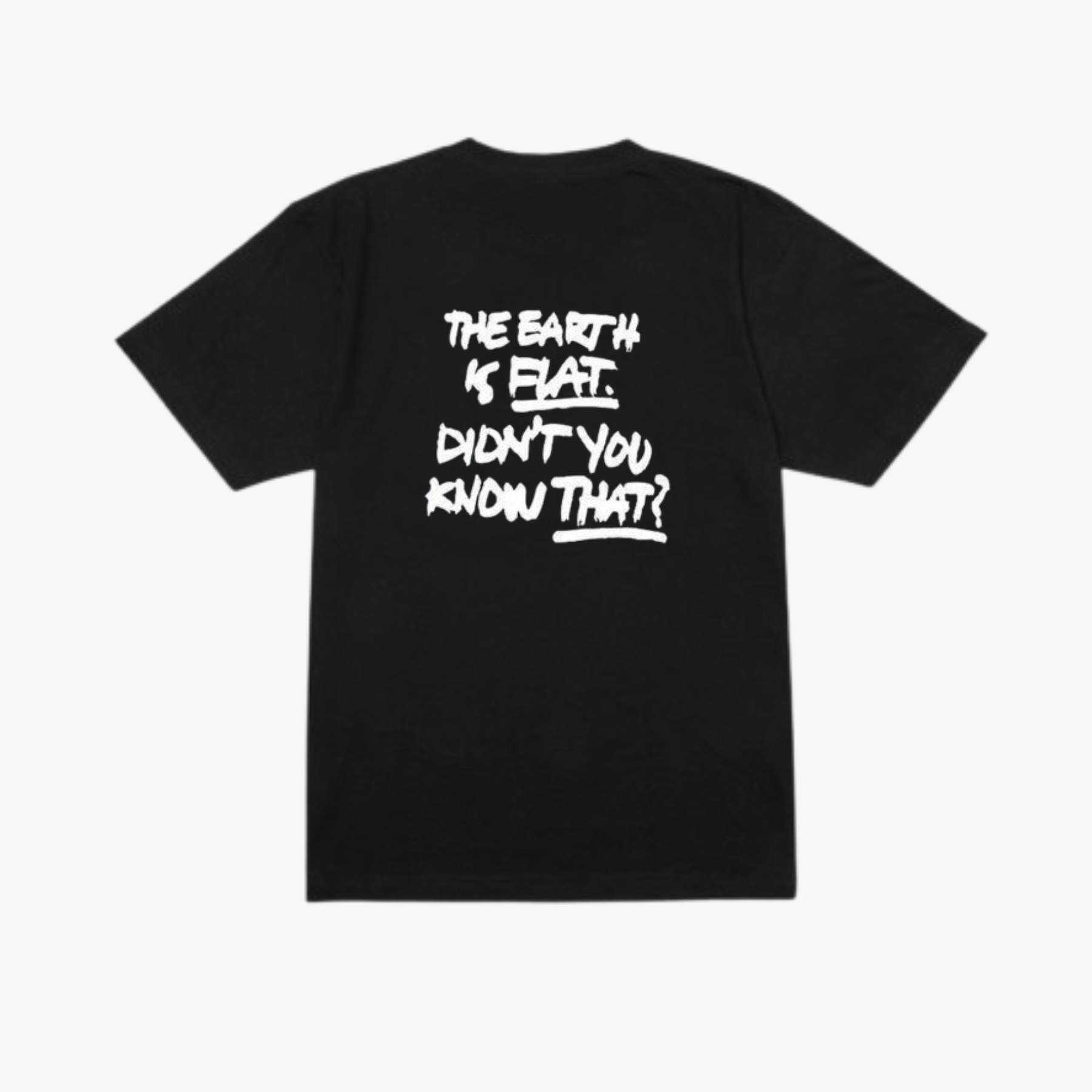 SUGA 'THE EARTH IS FLAT, DIDN'T YOU KNOW THAT?' Exclusive T-shirt